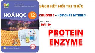 HÓA 12 - KẾT NỐI TRI THỨC | BÀI 10 PROTEIN VÀ ENZYME