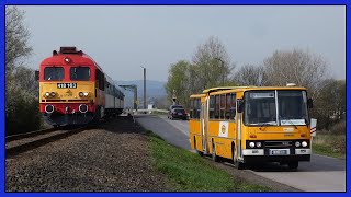 Borsodi retró hétvége Csörgőkkel, és a CCX-865-el (Ikarus 280.03) - Csörgő50