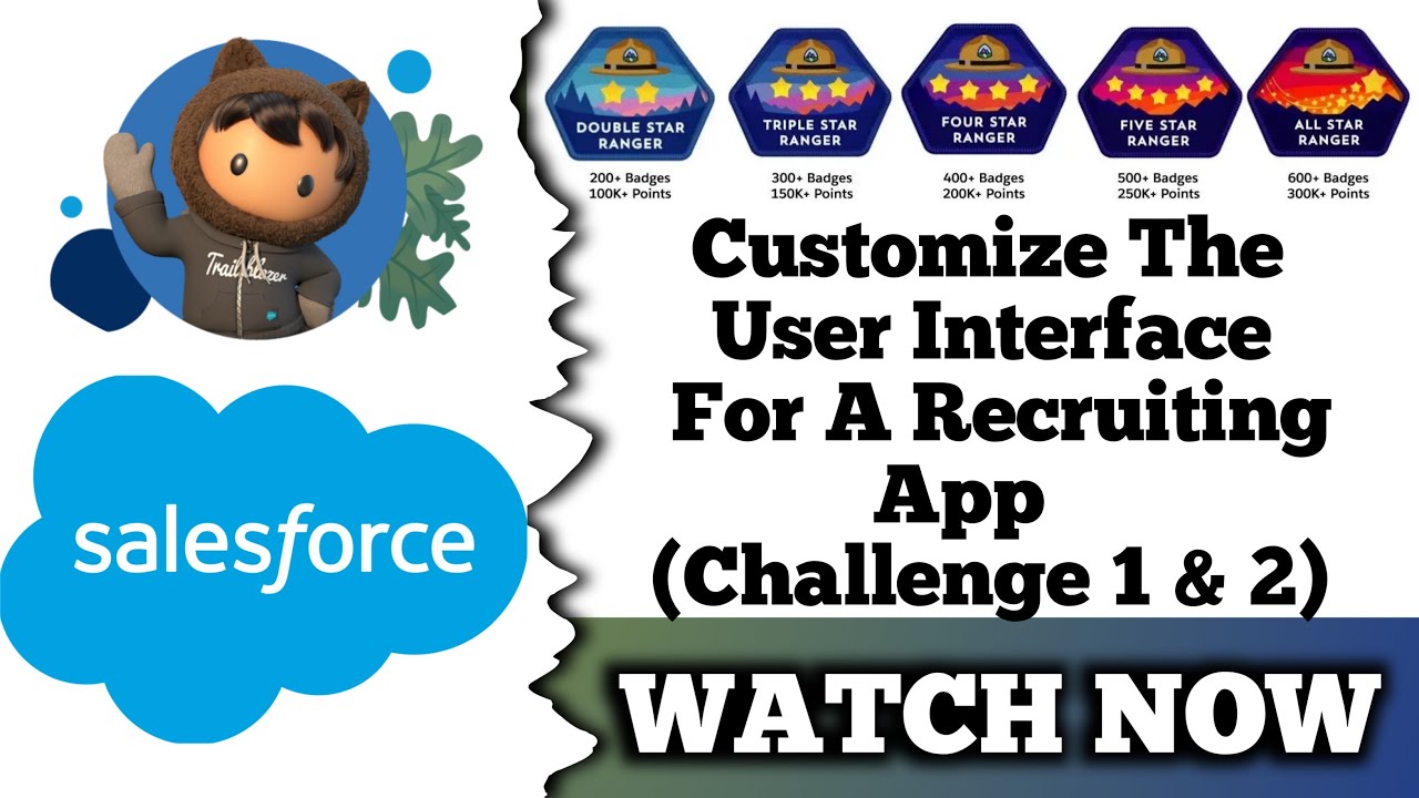 Customize The User Interface For A Recruiting App Salesforce