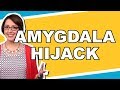 Manager Minute or Two! - Amygdala Hijack