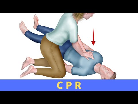 What is the most important part of CPR to do immediately?