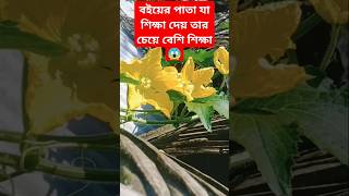 বইয়ের পাতা যা শিক্ষা দেয় তার চেয়ে বেশি #shots