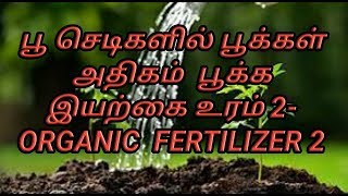 பூ செடிகளில் பூக்கள் அதிகம்  பூக்க இயற்கை உரம் 2-ORGANIC FERTILIZER 2