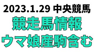 【シルクロードS】中央競馬情報 2023年1月29日【ウマ娘産駒】