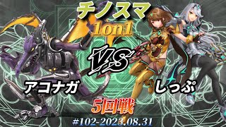 チノスマ1on1#102〔5回戦〕アコナガ（リドリー）vs しっぷ（ホムラヒカリ）【スマブラSP】