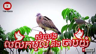 សំលេងសត្វលលកនិងចាបយំ (dove and sparrow cries)