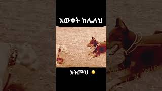 ለምን የእውቀት መጋራት የስኬት ቁልፍ ነው