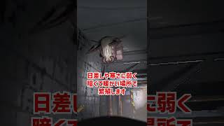 スネアフリーをざっくり解説【Lethal Company】【ホラゲ】 #Shorts