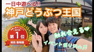 【神戸どうぶつ王国】関西No,1の動物園!! たくさんの動物との触合いで癒されました♥