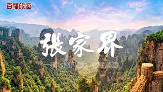 【張家界】搭乘百龍天梯，一窺《阿凡達》壯闊美景