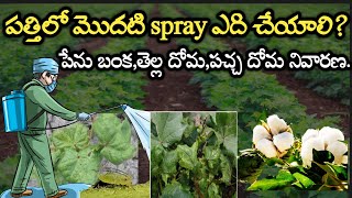 పత్తిలో మొదటి spray ఎది చేయాలి | patti lo modati spray | Rythu seva Agritech