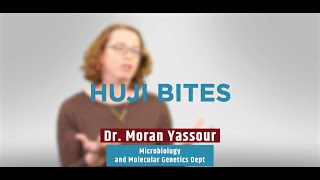 HUJI Bite: Studying the Infant Gut Microbiome