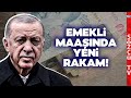 Emekli Maaşı Temmuz Zammında Yeni Oran! En Düşük Emekli Maaşı İçin Yeni Rakamlar