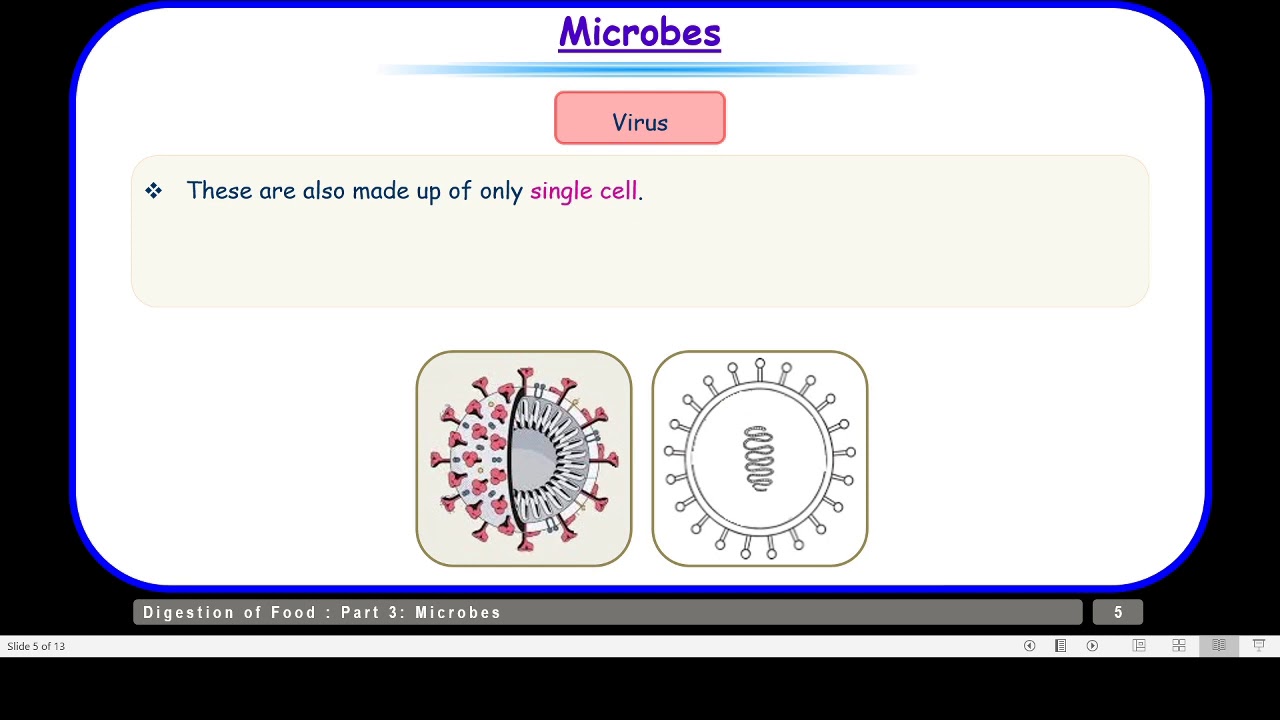 Class Iv Microbes Youtube