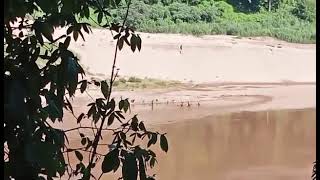 Burmese military soldiers bathe on Salween River