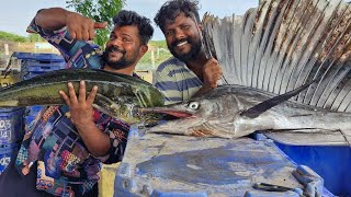 உங்கள் மீனவன் கடைக்கு வரும் இரண்டு அழகான மீன் எது சிறந்த மீன்