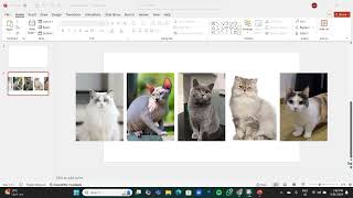 CSC098 HOW TO MORPH USING POWERPOINT   Made with Clipchamp 1