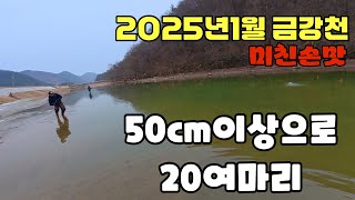 1월 금강천 미친 손맛 - 메탈바이브 50이상으로만 20여마리