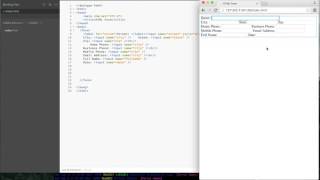 #angularjs #web #striversity 03.14 - #21 - HTML - Form Input Types