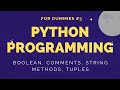 Python Tutorial For Dummies #3 - If Statement, Comments, String Methods, Tuples