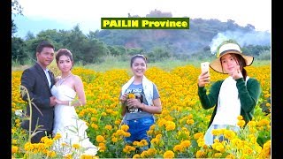 1000 Riel To Visit The Most Beautiful Marigold Flower Field with Full Blooming at Pailin Province