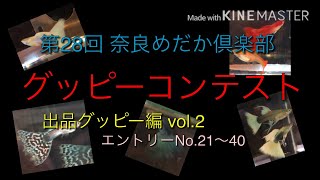 第28回 奈良めだか倶楽部 グッピーコンテスト　第二弾