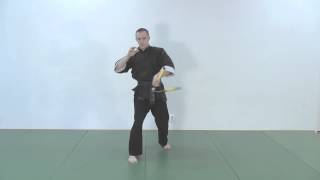 Green belt - Nunchaku form