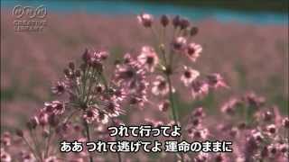 夢の浮橋 石川さゆり　　　　　　カラオケ ＭＯＲＩ