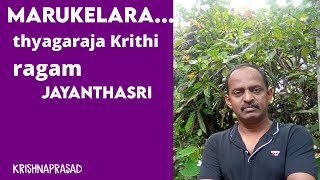 Krishnaprasad music | thyagaraja Krithi | Marukelara |Jayanthasri Ragam |