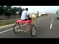 g.k.suresh anna horse riding video