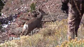 HECS in Action: Mule Deer with Rocky Jacobsen