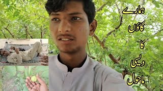 ہرے بھرے باغ میں آمرود 🌳 درختوں سے اُتارے مزہ بہت آیا ❤️Vlog