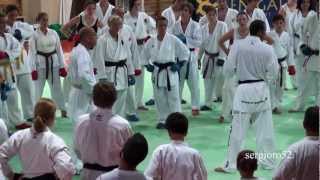 Christophe PINNA-Kumite Seminar-2011-part 2 of 4 (HD)