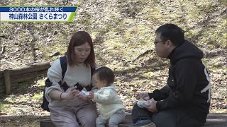 神山森林公園　さくらまつり【テレビトクシマ】