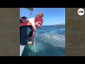 80 idiots in boats caught on camera 66 fact zone