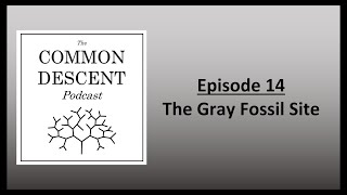 Episode 14 - The Gray Fossil Site