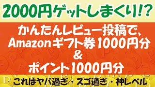 アマギフ1000円分＆1000円分のポイントゲットしまくり！レビュー数×2000円という神レベルの超簡単アンケート ITトレンドキャンペーン降臨！