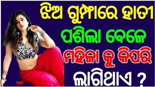 ଝିଅ ଗୁମ୍ଫାରେ ହାତୀ ପଶିଲା ବେଳେ ଝିଅ😱କୁକିପରି ଲାଗିଥାଏ GK question 2|| GK in Odia || GK question and ll