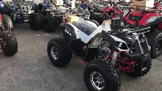 Txpowersports present Taotao New tforce atv