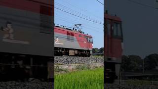 EL宇都宮線(東北本線) 2023.7.28 EH500 8+タキ1000 8072レ (ケツ撃ち)