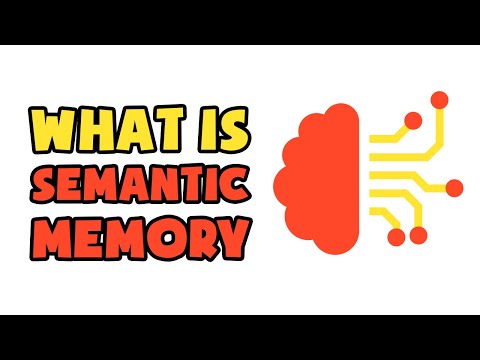What is semantic memory Egcc?