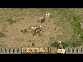 stronghold crusader hd winning messege from every ai lord