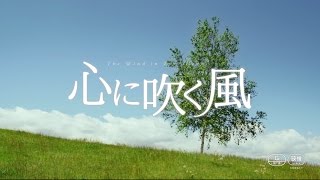 映画「心に吹く風」予告編