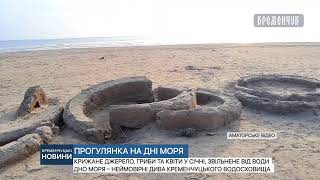 Крижане джерело, гриби та квіти у січні, звільнене від води дно моря