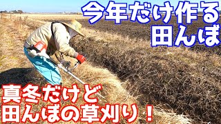 今年だけ作ってほしいと頼まれた田んぼの草刈り【真冬の草刈り】