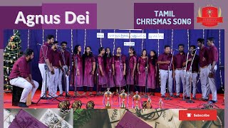 Agnus Dei | Marthandam | Deva Kumaran Yesu | Tamil Christmas Choir Song | S.Sherin