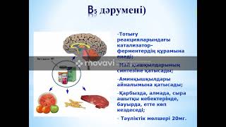 Дәрумендер- олардың сипаттамасы және оларды жіктеу