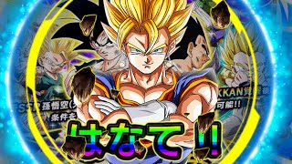 THIS BANNER HAS TREATED ME SO GOOD!! Global Dokkan Battle Summons