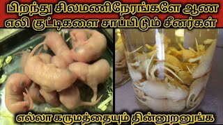 சீனா மக்கள் உயிரோடு உண்ணும் மோசமான உணவுகள் |Bad foods that Chinese people eat alive|LIKY PEDIA|TAMIL