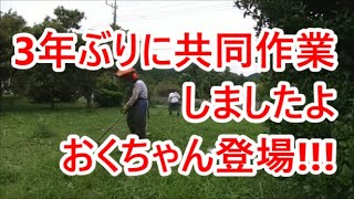 【草刈動画】3年ぶりに共同作業をしましたよ